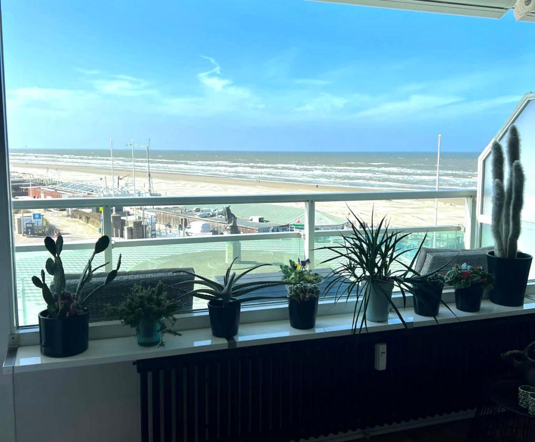 Apartment Fleurette 잔드보르트 외부 사진